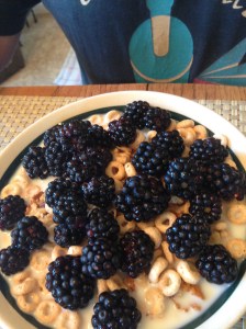 blackberries and cereal